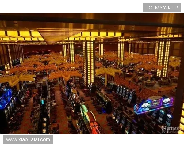 探秘澳门贵宾厅VIP090：享受独特的博彩与休闲乐趣